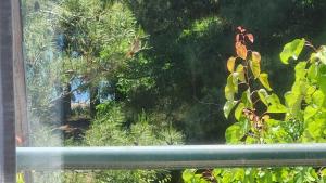 Pine Beach holiday home 2 bedrooms 50 meters to the beach