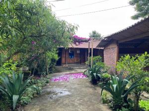 H'Mông Hoa Homestay