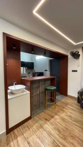 Luxurious studio House