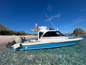 1 Day Fast boat trip Komodo By Bestkomodotour