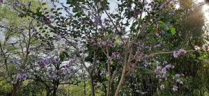 Hermoso Alojamiento Ecoturistico a 45 minutos de Monterrey