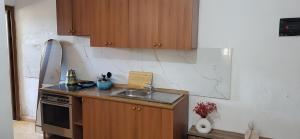 Spacious and Affordable Tirana