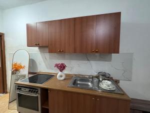 Spacious and Affordable Tirana