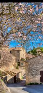 B&B / Chambres d'hotes O banc de la vigne : photos des chambres