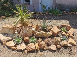 Appartements Hebergement avec jardin : photos des chambres