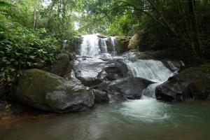 Finca La Ola Pacifica