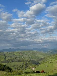 Casa de vacanta Anca