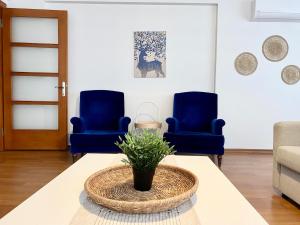 Central & Spacious Flat - No5