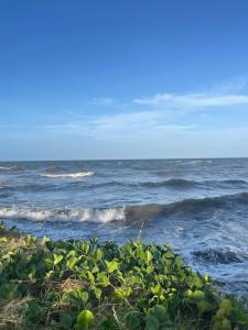 Baruch Tropical Ranch