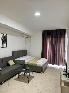 Apartament Niko shengjin