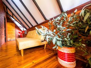 Glamping Chalet Deluxe cerca al centro de Villa de Leyva - By Serena Morena