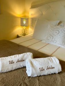 B&B / Chambres d'hotes Villa Antoline : photos des chambres