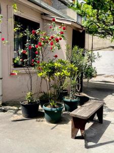 Private House , in the middle of the city, in 10 min. To Fabrika