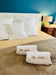 B&B / Chambres d'hotes Villa Antoline : photos des chambres