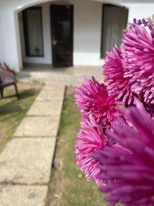 KAFAL TREE Home Stay - PET FRIENDLY