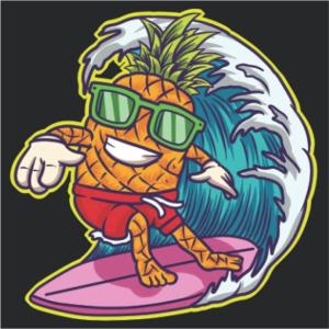 Ananas&Surf Alojamento Local