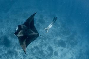 Sunwave Dhigurah