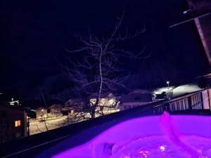 Exclusive luxury rental apartment