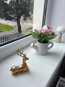 Hășmaș Peak Escape