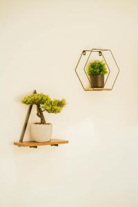 Modern 4 Bed Apartment - Cardiff City Centre - Free Parking