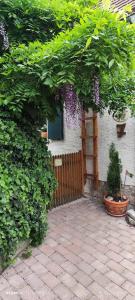 Ferienwohnung Geiernest