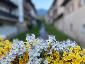 Appartamento Al Vicolo