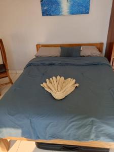 Buena Vista Hideaway