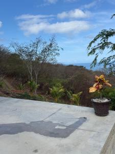 Buena Vista Hideaway