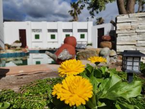 Spearhead on Lake Accommodation-5C