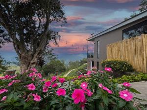 Mandarina Natural House