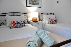 Da Vinci kavouropetra