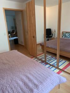 Schönes Appartement in Kehl Zentrum