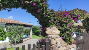 Villa Janas con piscina privata Budoni img11