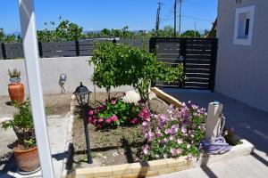 Da Vinci kavouropetra