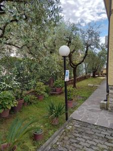 Casa gatta rossa orange cat house