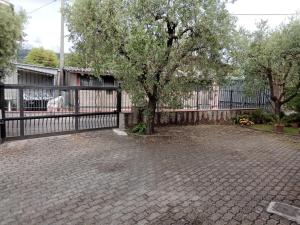 Casa gatta rossa orange cat house