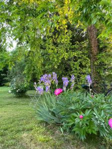 B&B / Chambres d'hotes chateau de Pougy : photos des chambres