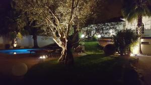 Moment de rêve guaranti