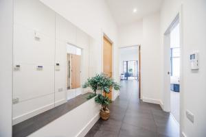 Entire 2 bedroom Apartment in London