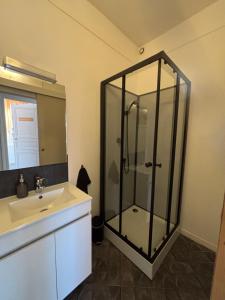 Appartements Petille en champagne - 1 chambre - Terrasse : photos des chambres