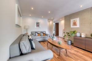 Comfortable Apartment in Condesa
