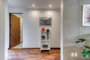 Comfortable Apartment in Condesa