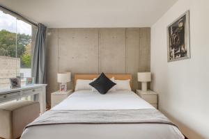 Comfortable Apartment in Condesa