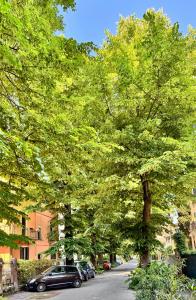 Luce Fantasia e TV 70p a 2 minuti dalla spiaggia