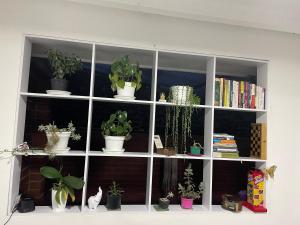 Hermosa Casa vía al nevado, termales del otoño, cerca al bosque complejo deportivo y clínica, sector san Marcel