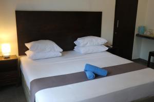 Studio Có Giường Cỡ King Và Giường Sofa (King Studio with Sofa Bed)