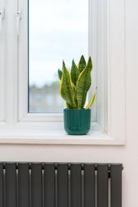 Stylish and Spacious Peckham Flat