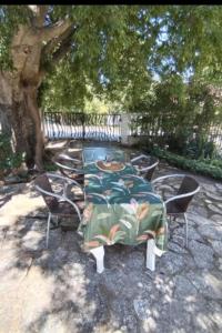 Apartments with parking space Gornji Karin, Novigrad - 21514