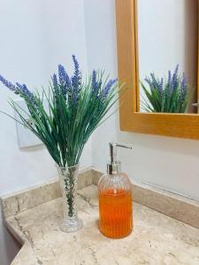 Flat com estrutura de Hotel, Suíte com Sacada nos Jardins