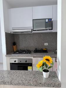 Apartamento Nuevo Central